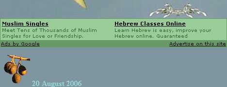 Google Ads for this site