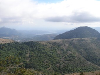 A view of Carrefour at Nice Lingosti&Atilde;&uml;res