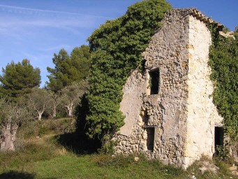 Ruined Mas & Olive Trees