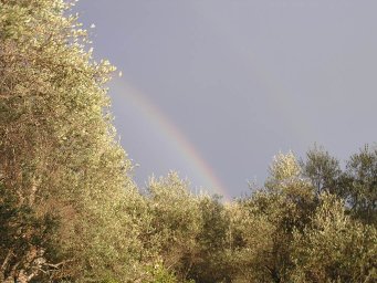 rainbow