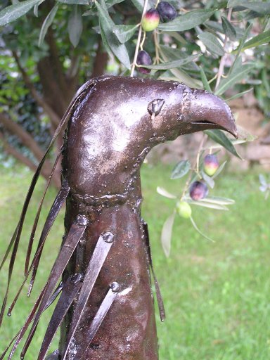 Secretary Bird and Olives